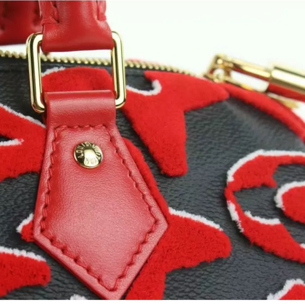 RARE Red Speedy Louis Vuitton - Picture 12 of 15